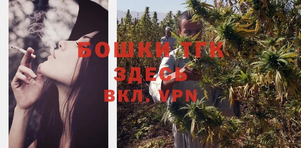 молекула духа Аркадак