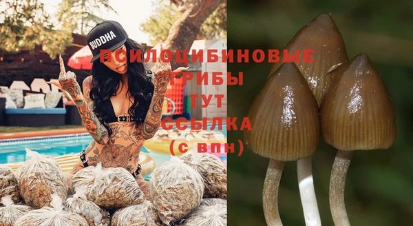молекула духа Аркадак