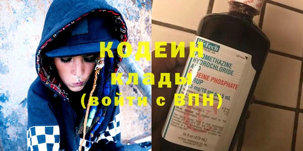 шишки Алексин