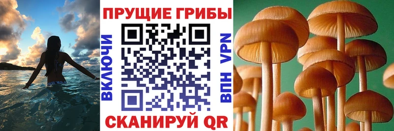Псилоцибиновые грибы мухоморы  Тюкалинск 